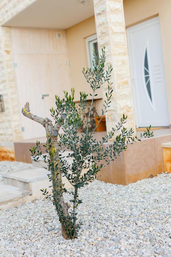 Villa Queen Jelena Galižana Εξωτερικό φωτογραφία